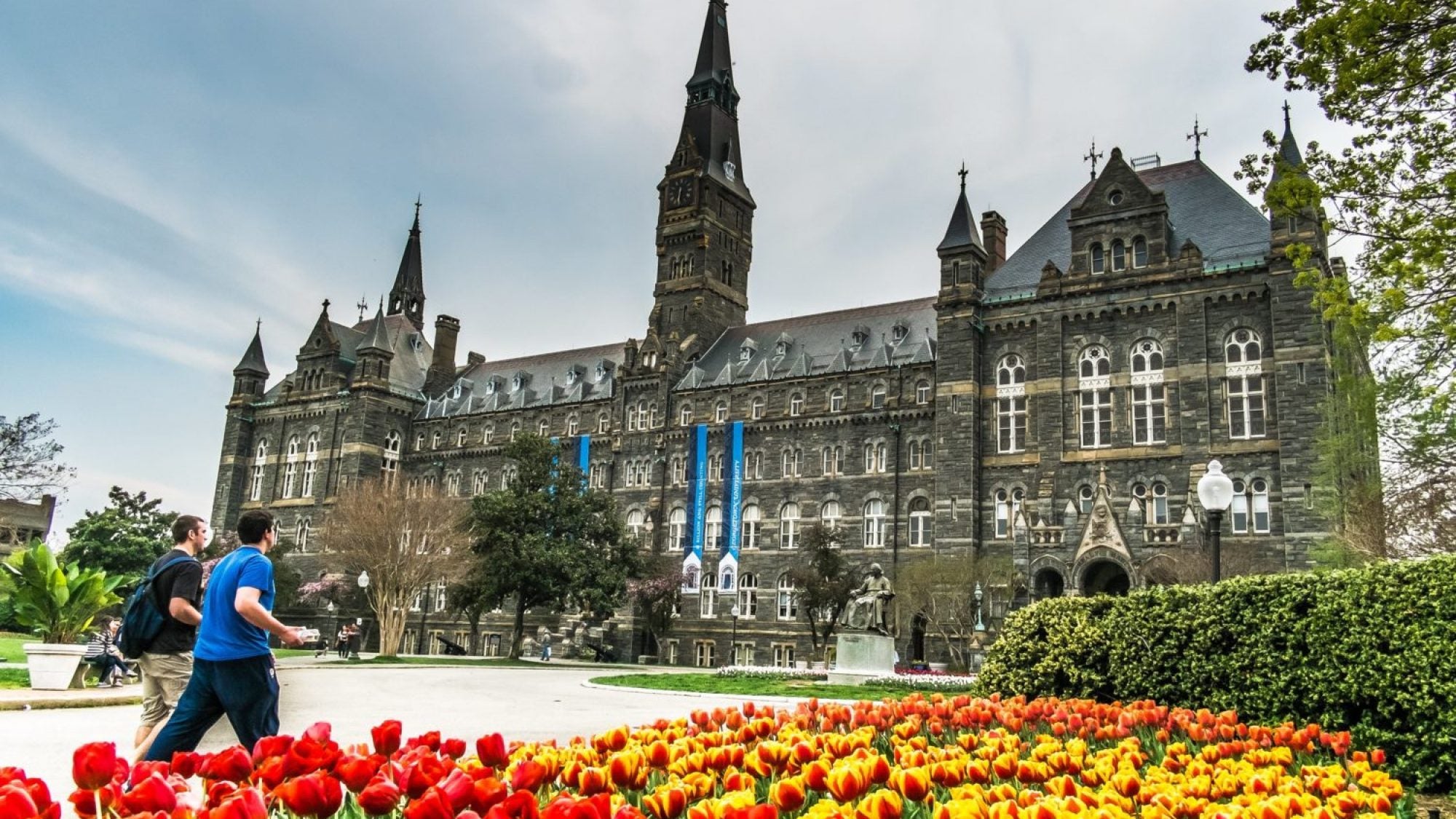 Healy Hall behind a garden of red and yellow tulips