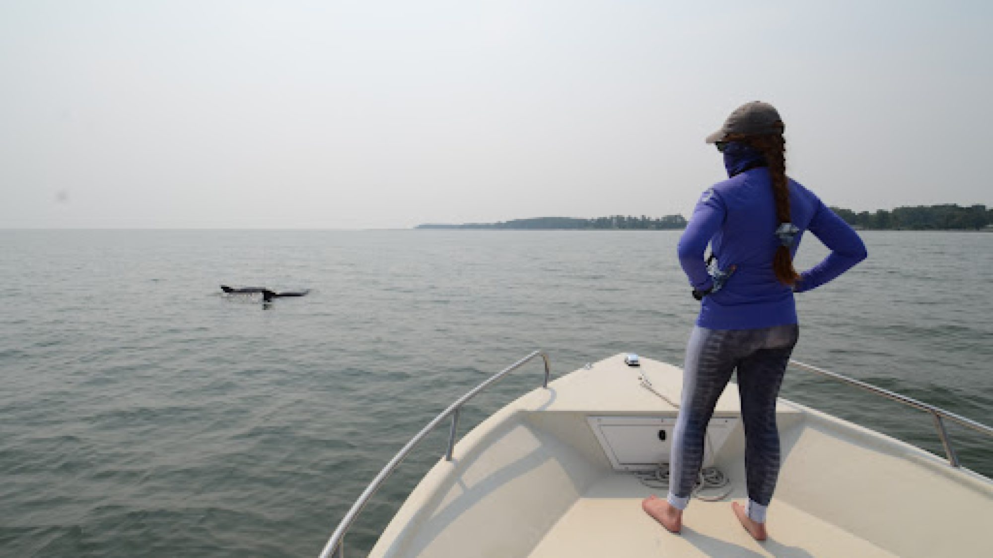 Graduate student Melissa Collier stands on the bow of boat looking into the river for dolphins as a result of her grant research award