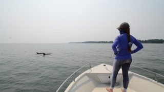 Graduate student Melissa Collier stands on the bow of boat looking into the river for dolphins as a result of her grant research award