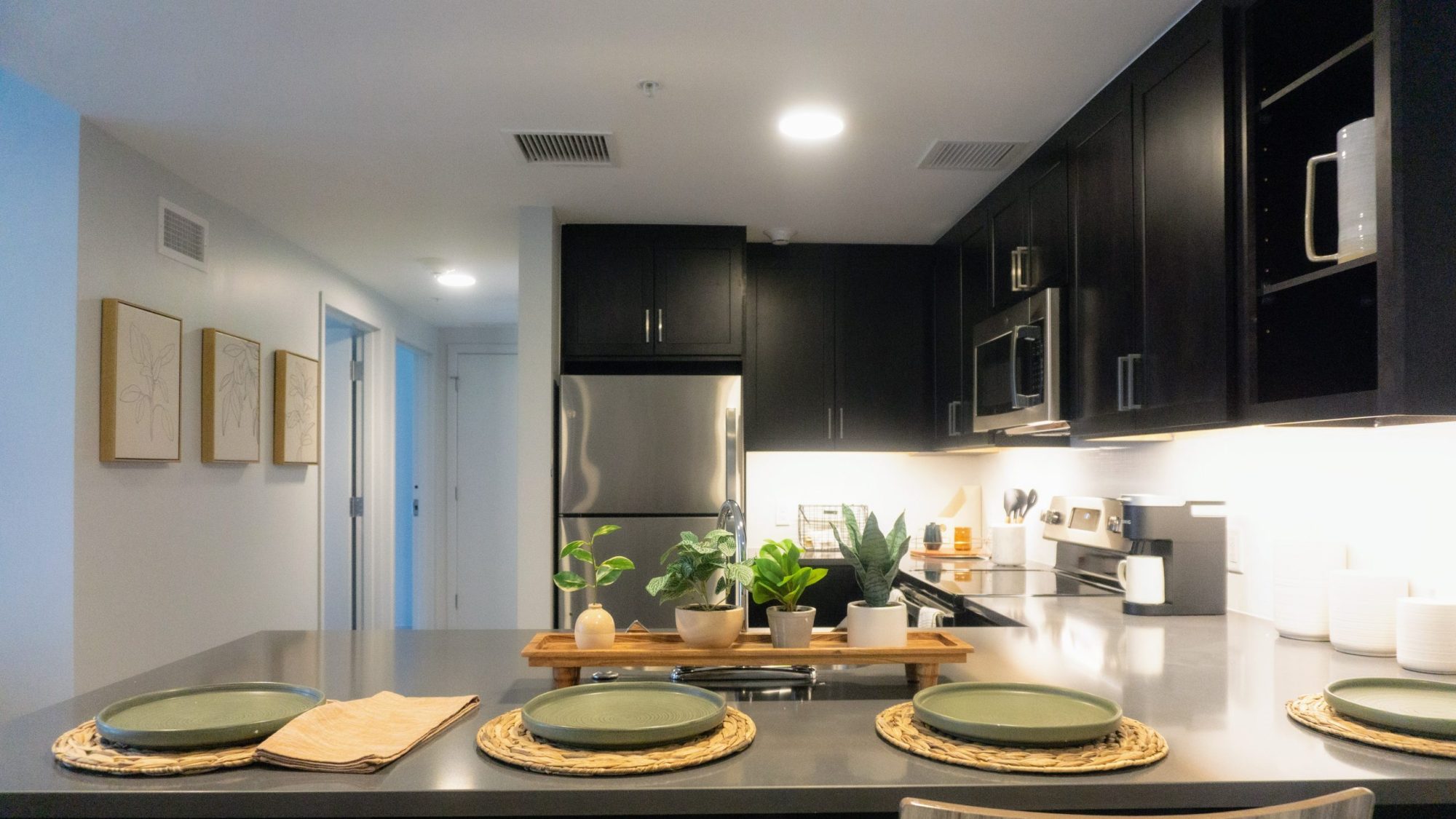 Kitchen showcase for a Georgetown apartment at 55 H Street