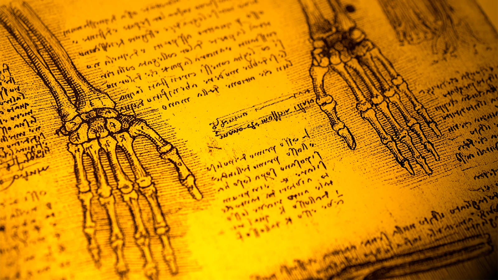 Medical drawings of bones in the hands and arms with text in the background in Middle Eastern language