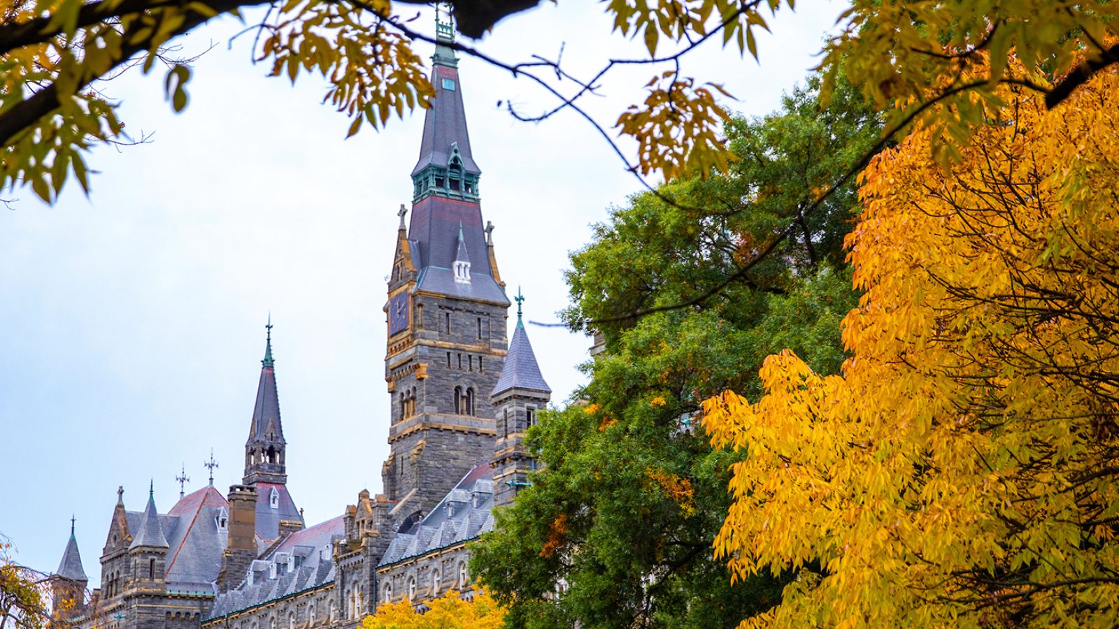 Healy Hall in the fall