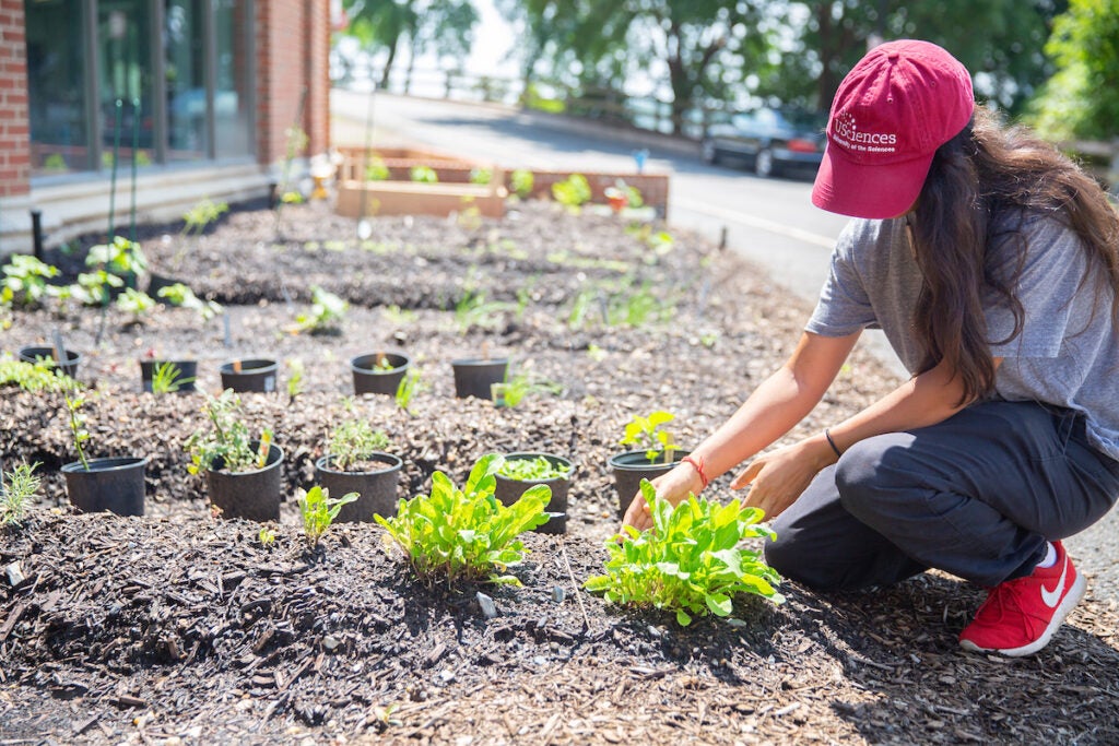 Student works on the ground at Earth Commons garden