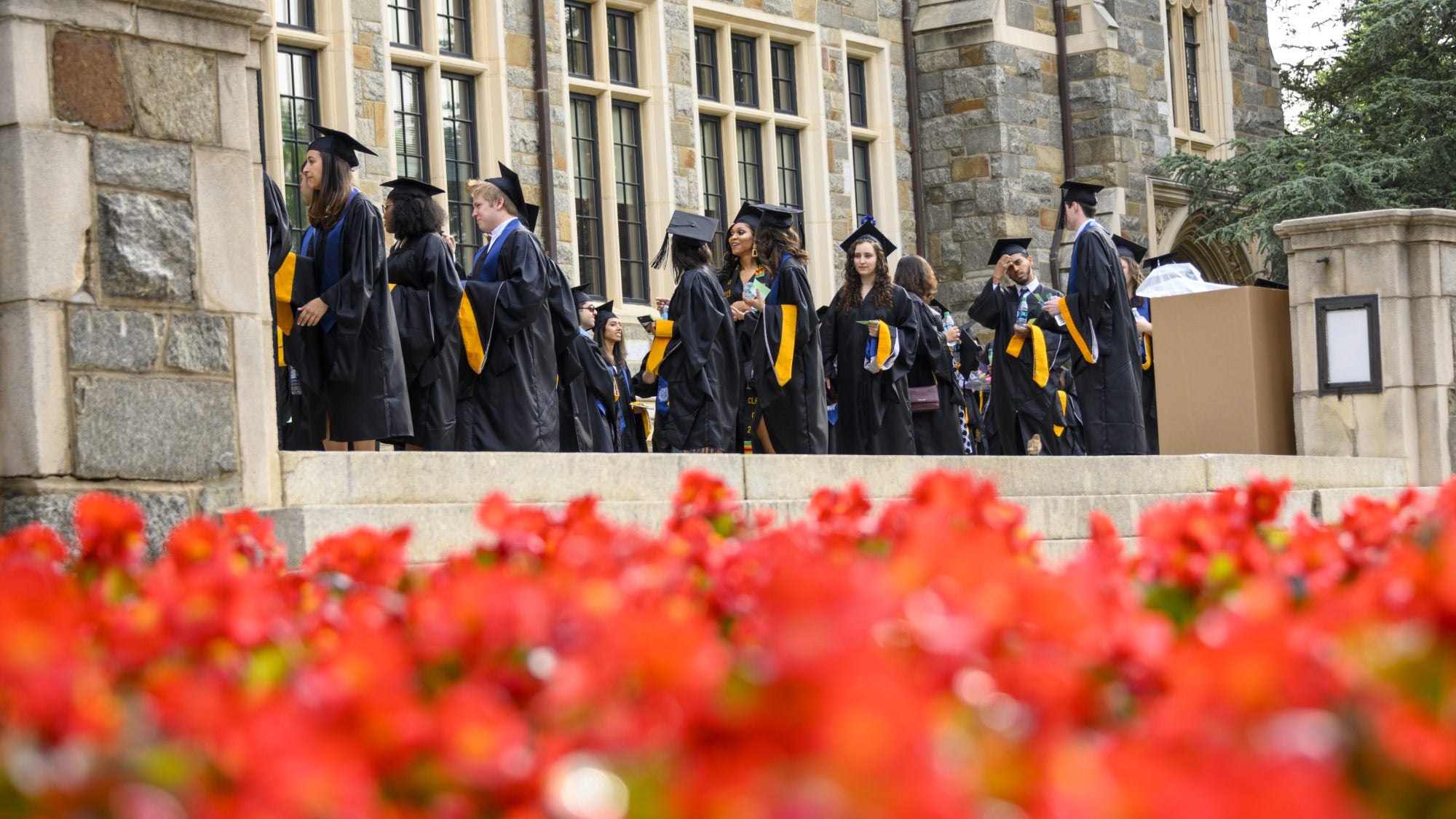Sudents wearing black graduation robes line up for the Commencement Ceremony at Georgetown University in May with orange flowers in the foreground