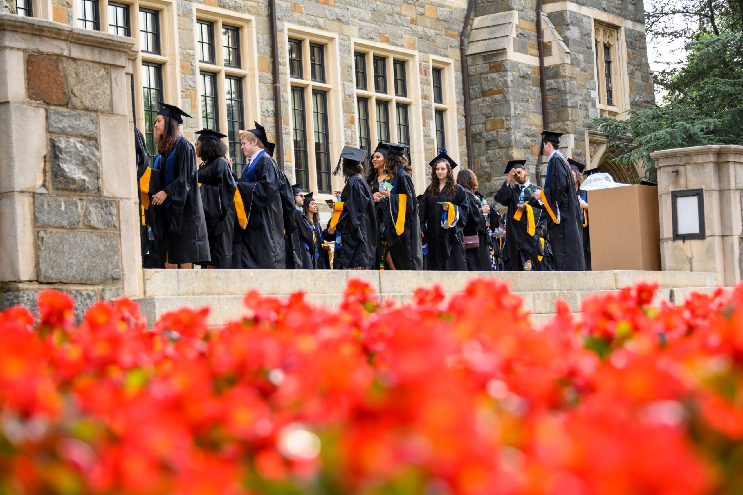 Students wearing black graduation robes line up for the Commencement Ceremony at Georgetown University in May with orange flowers in the foreground